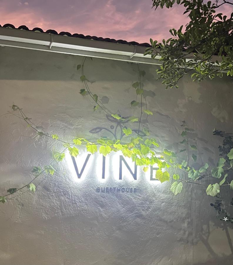 Vine Guesthouse Stellenbosch Ngoại thất bức ảnh