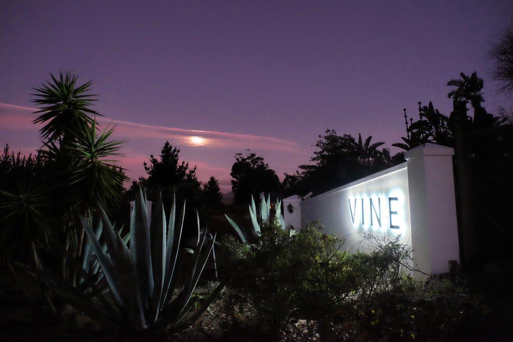 Vine Guesthouse Stellenbosch Ngoại thất bức ảnh