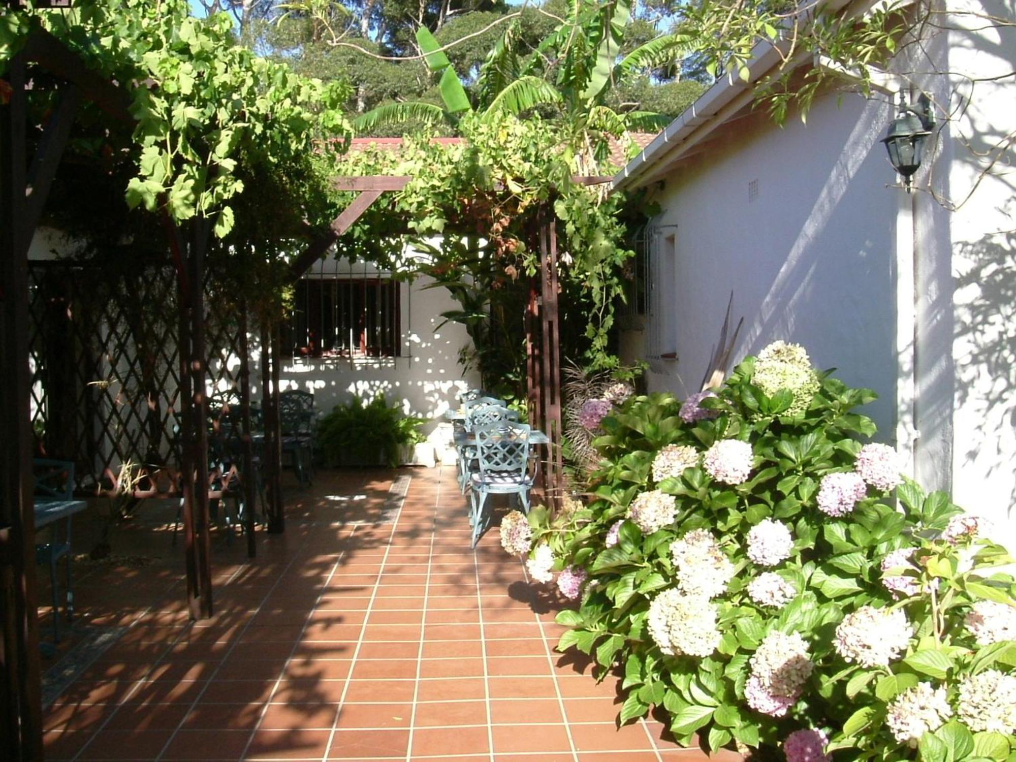 Vine Guesthouse Stellenbosch Ngoại thất bức ảnh