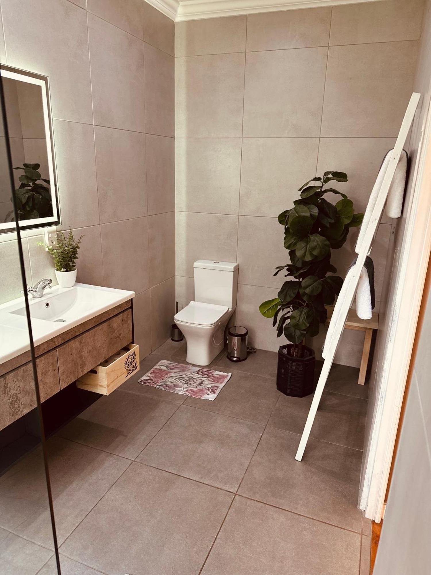 Vine Guesthouse Stellenbosch Ngoại thất bức ảnh