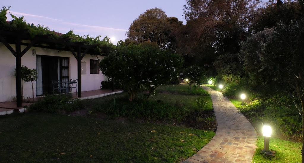 Vine Guesthouse Stellenbosch Ngoại thất bức ảnh