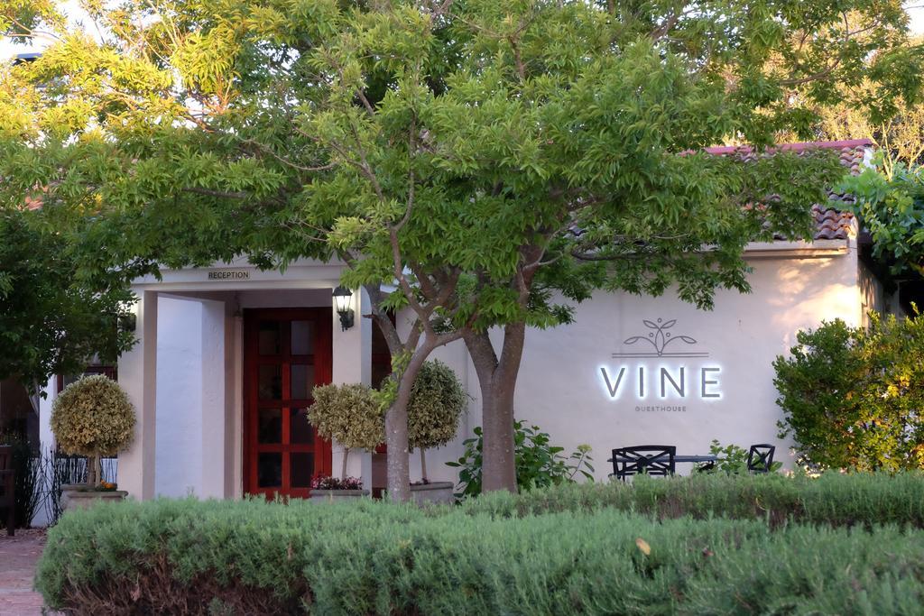Vine Guesthouse Stellenbosch Ngoại thất bức ảnh