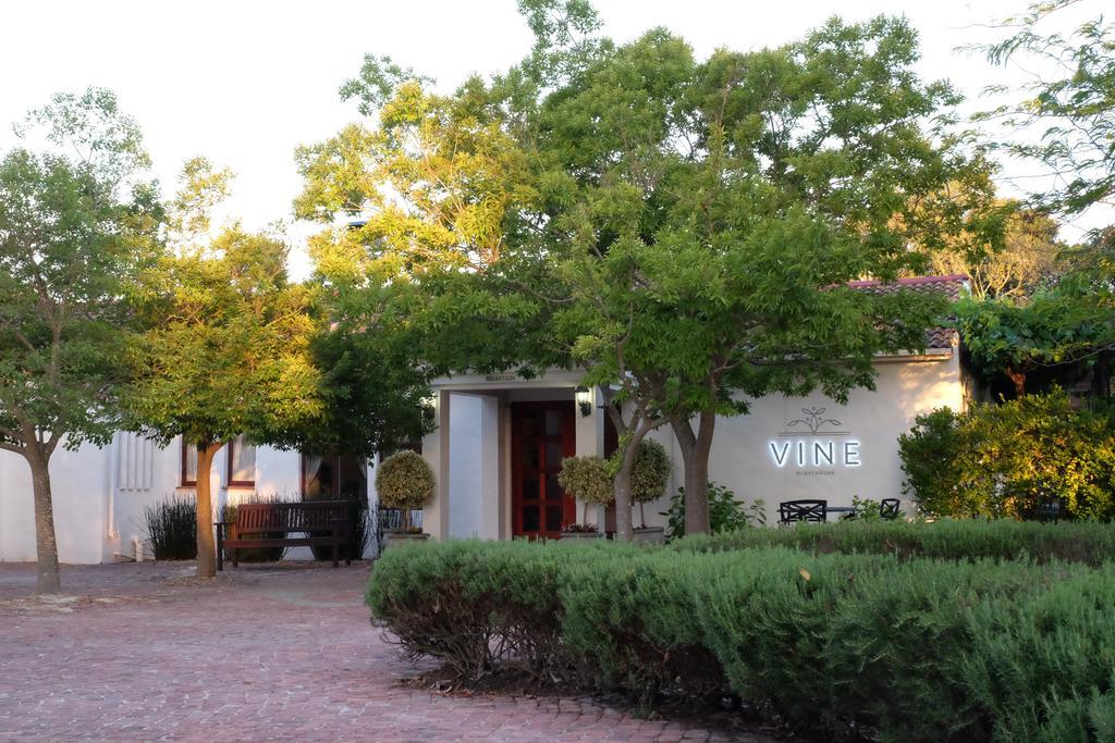 Vine Guesthouse Stellenbosch Ngoại thất bức ảnh