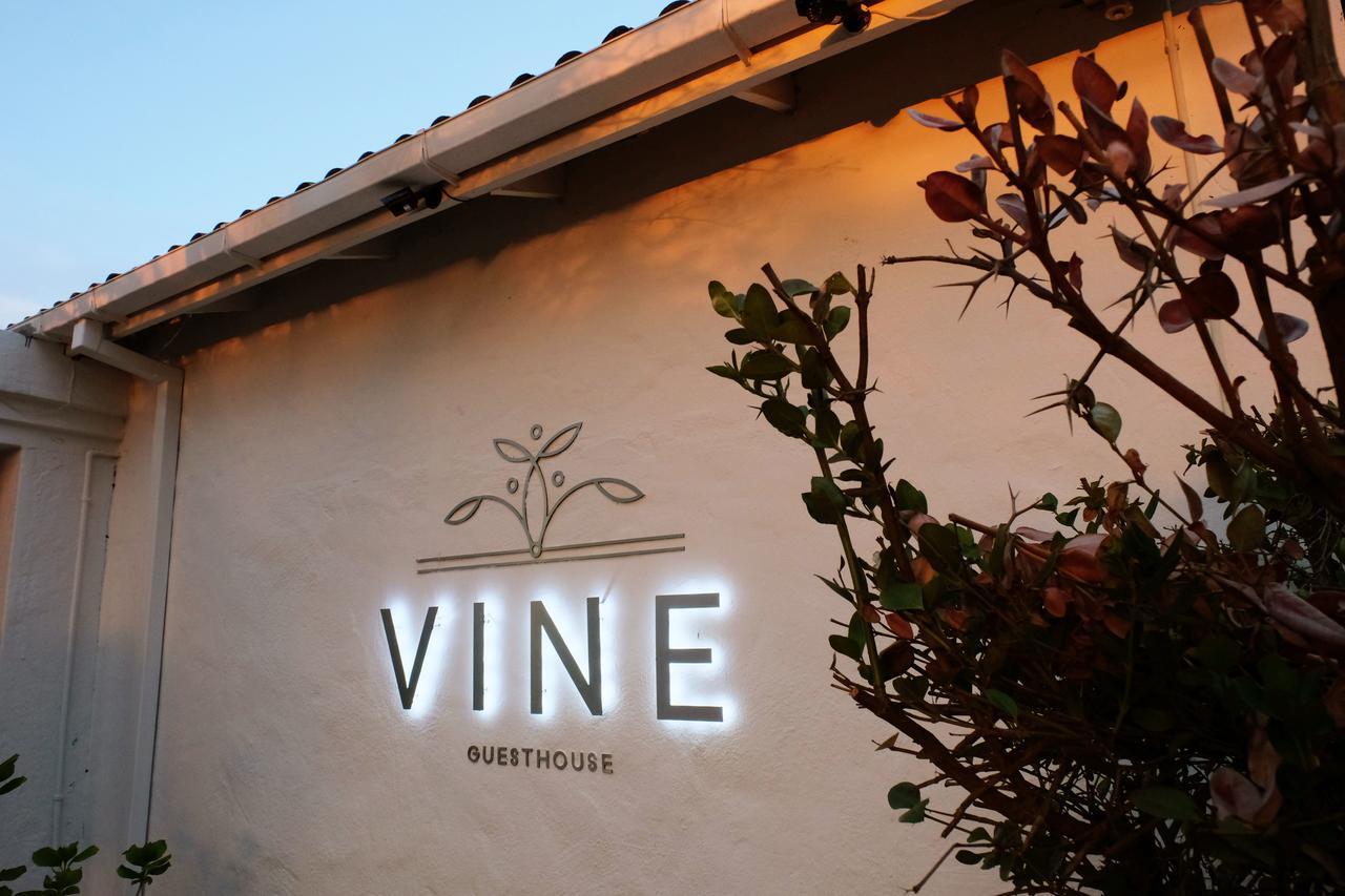 Vine Guesthouse Stellenbosch Ngoại thất bức ảnh