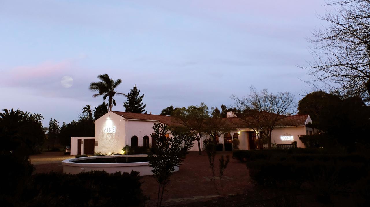Vine Guesthouse Stellenbosch Ngoại thất bức ảnh
