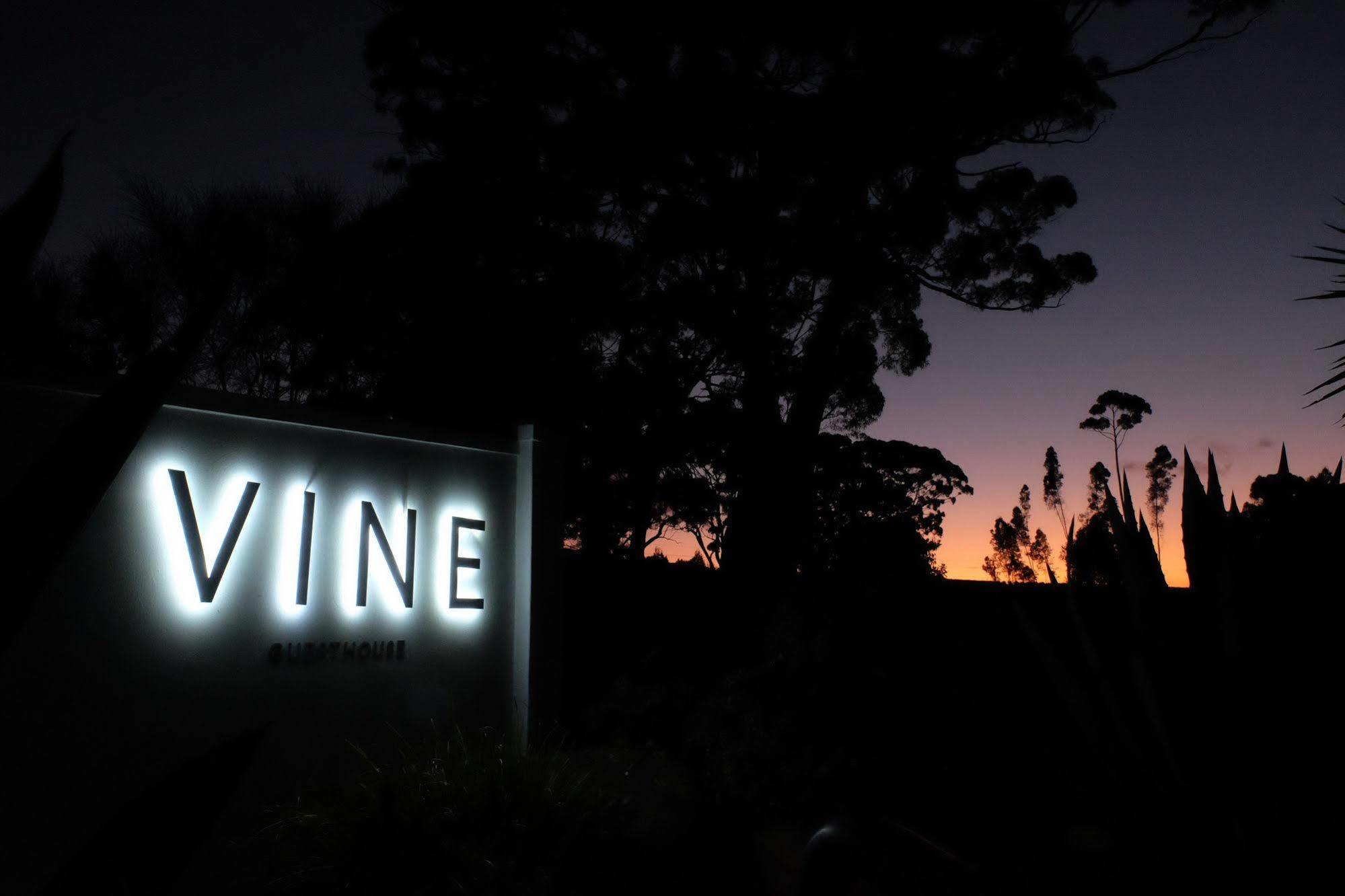 Vine Guesthouse Stellenbosch Ngoại thất bức ảnh