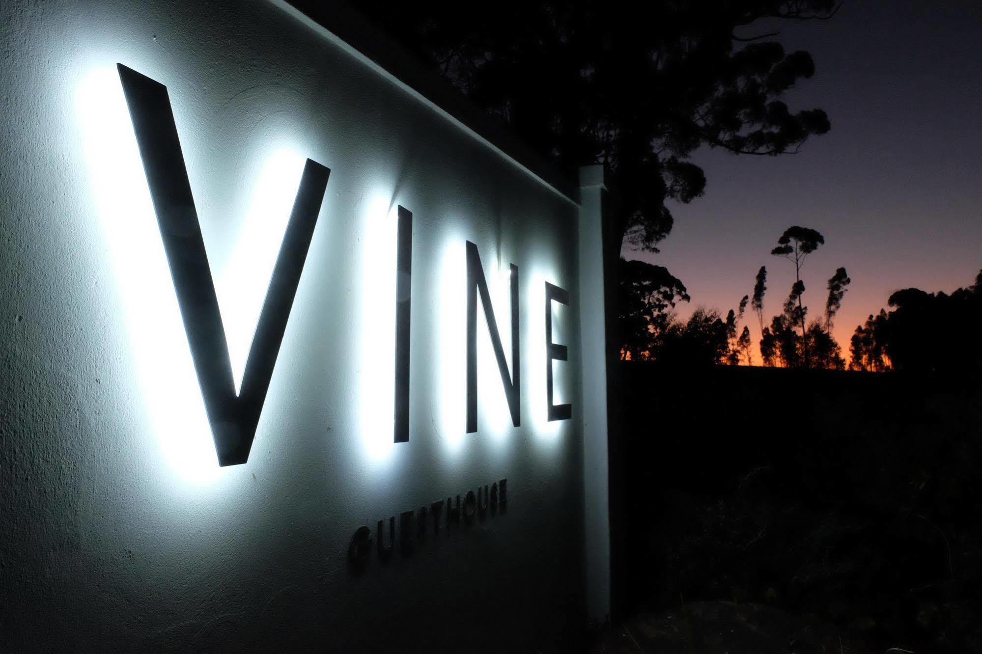 Vine Guesthouse Stellenbosch Ngoại thất bức ảnh
