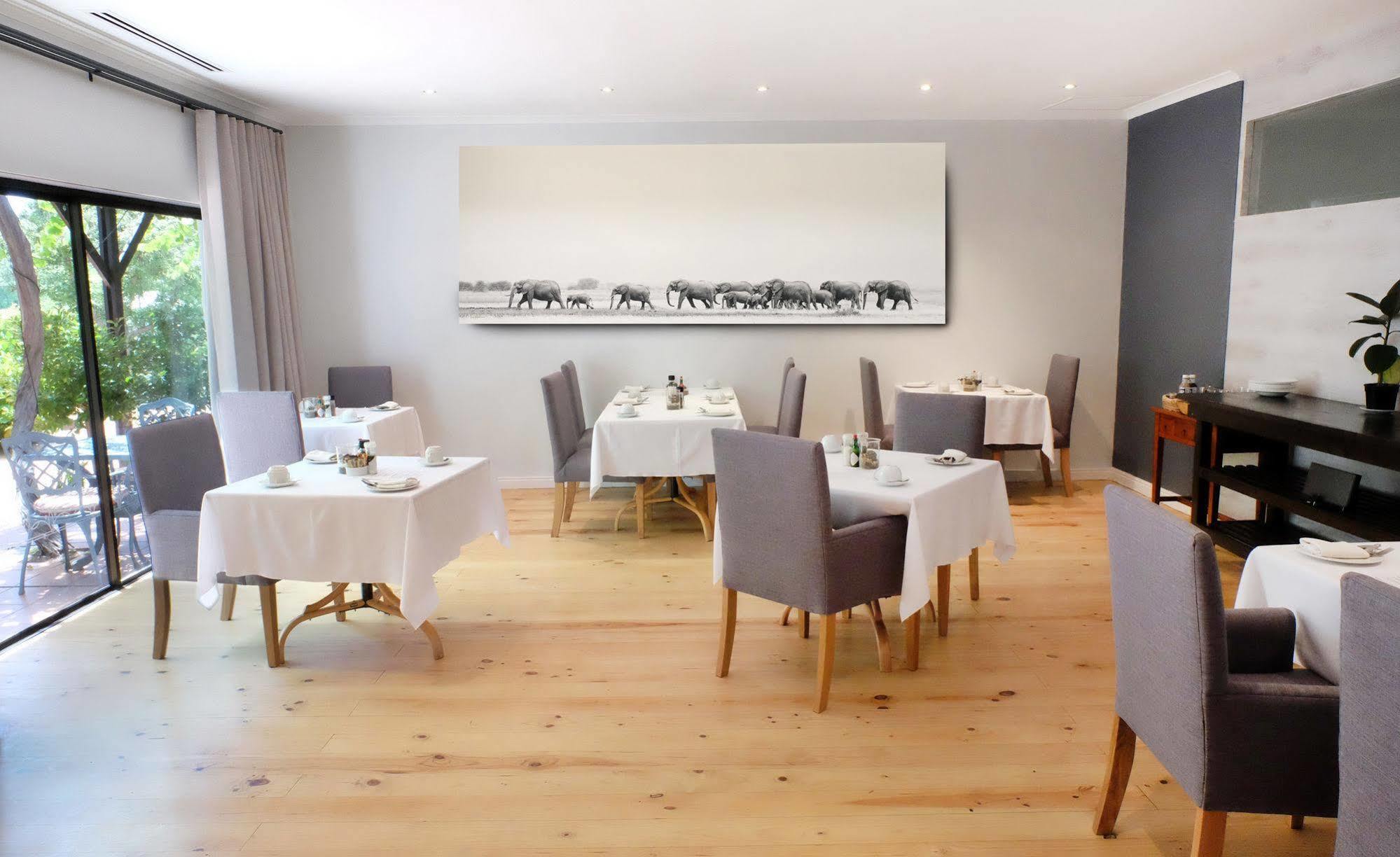 Vine Guesthouse Stellenbosch Ngoại thất bức ảnh