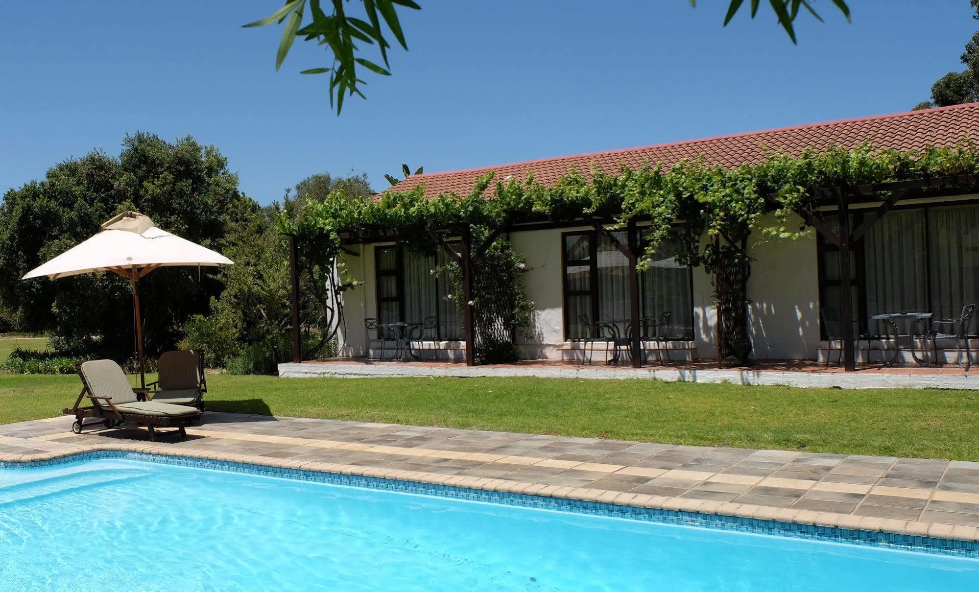 Vine Guesthouse Stellenbosch Ngoại thất bức ảnh