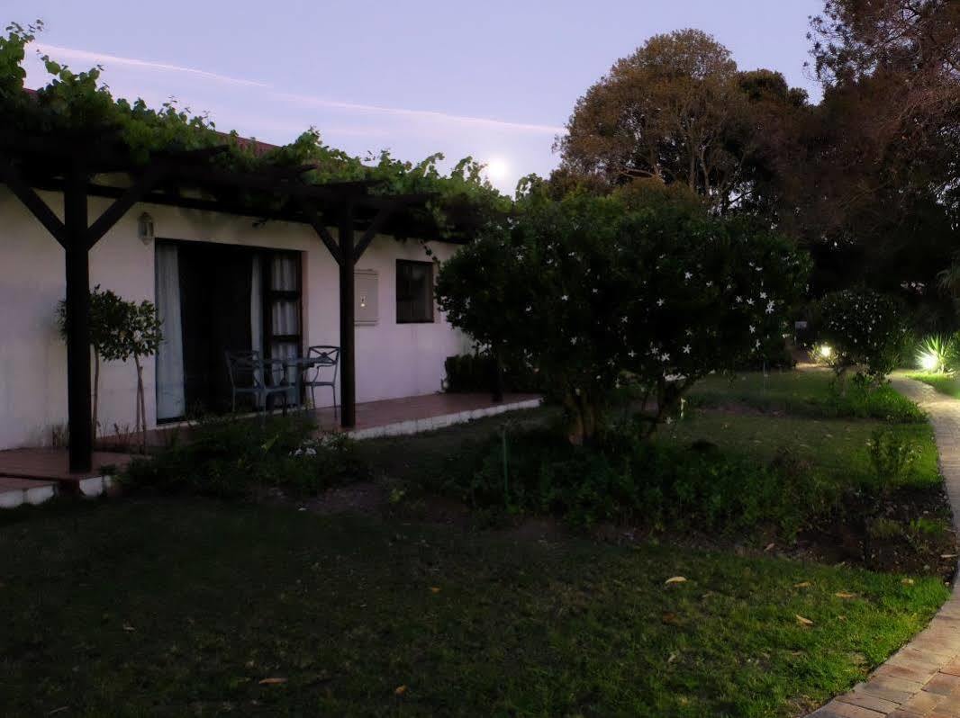 Vine Guesthouse Stellenbosch Ngoại thất bức ảnh