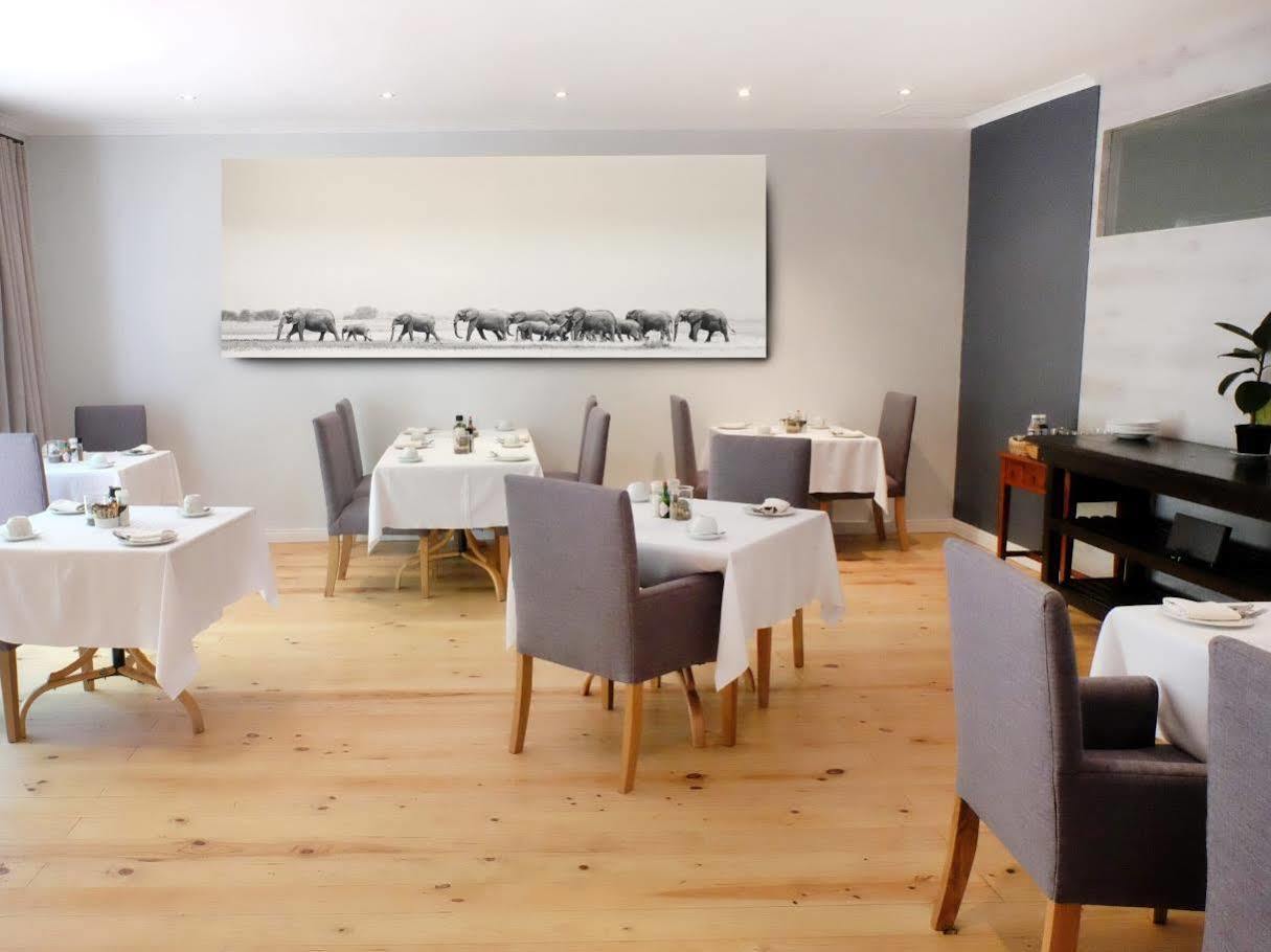 Vine Guesthouse Stellenbosch Ngoại thất bức ảnh